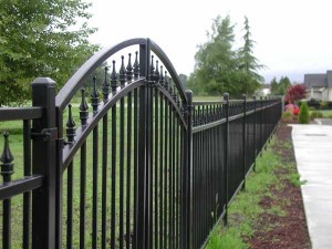 214 Ornamental iron fence w/gate detail