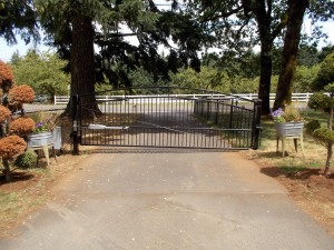 128 ornamental iron gate with gate operator, Silverton, Oregon