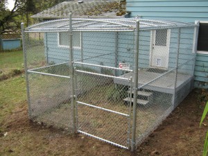 65 chain Link Kennel with top