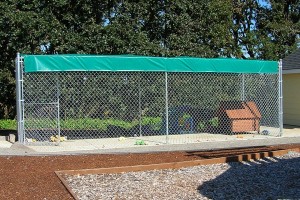 345- chain link-dog kennel with cover